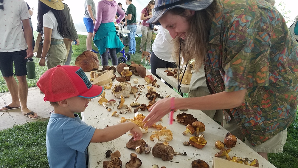 telluridemushroomfestival_gallery.jpg