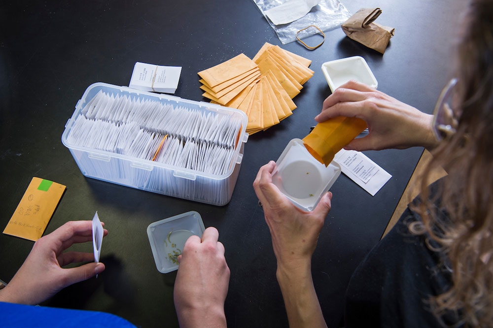 organizing tissue samples