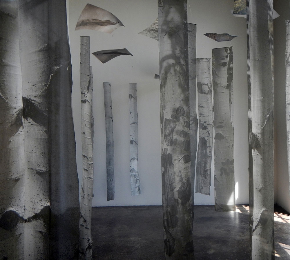 Melanie Walker, Ghost Forest (detail of trunks), print on silk, 2020.