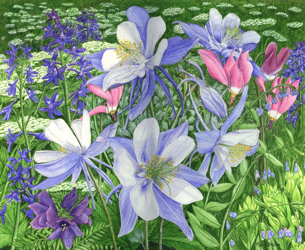 Mary Burns, Pecos Wilderness Mountain Gardens, watercolor, 2013. Artwork © Mary Burns.