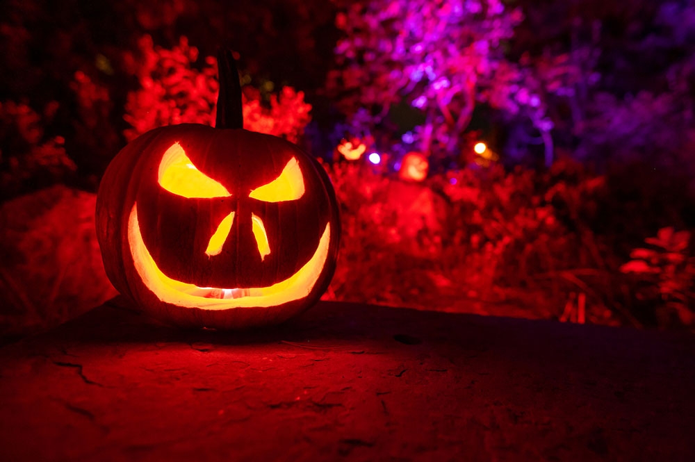 Glow at the Gardens gallery