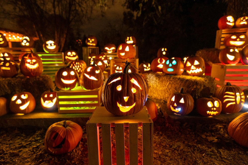 Glow at the Gardens gallery