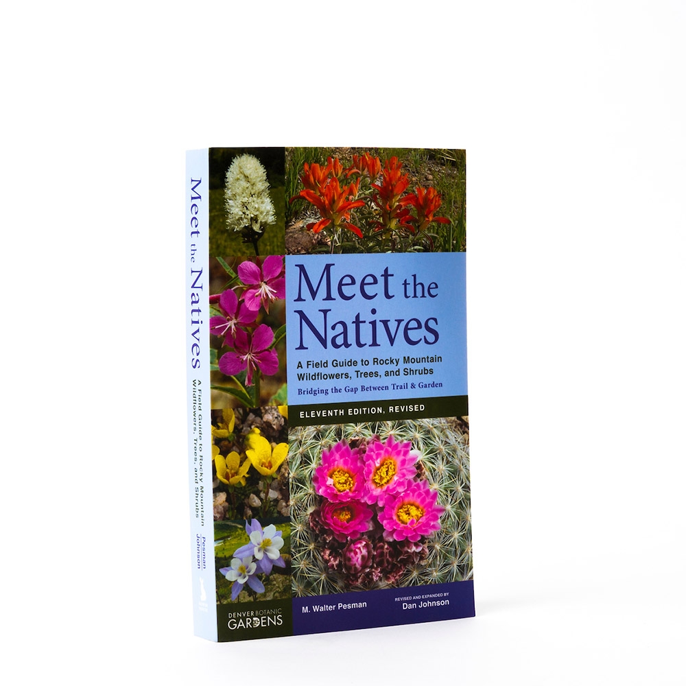 Meet the Natives