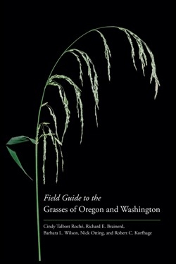 Cindy Talbott Roché