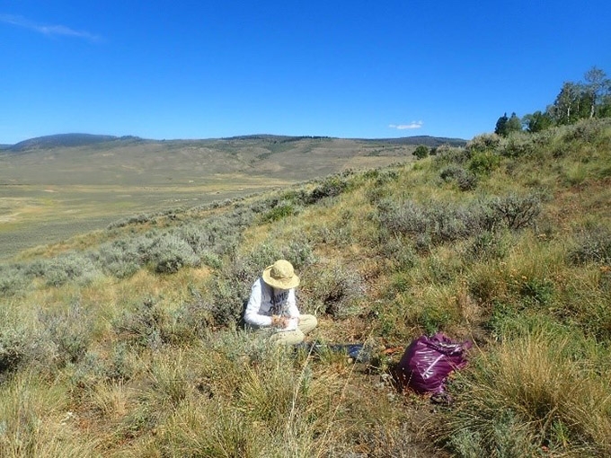 Seeds of success fieldwork