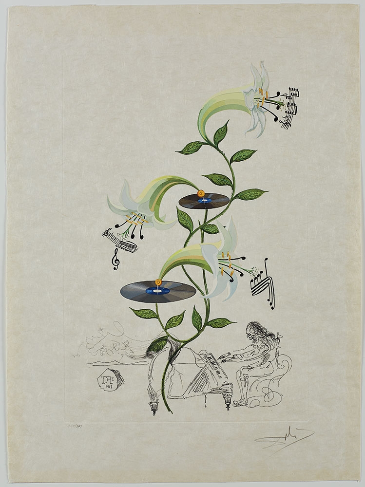 Salvador Dalí, Lys (Lilium musicum) from FlorDali, 1968, photolithograph with original engraved remarque and color.