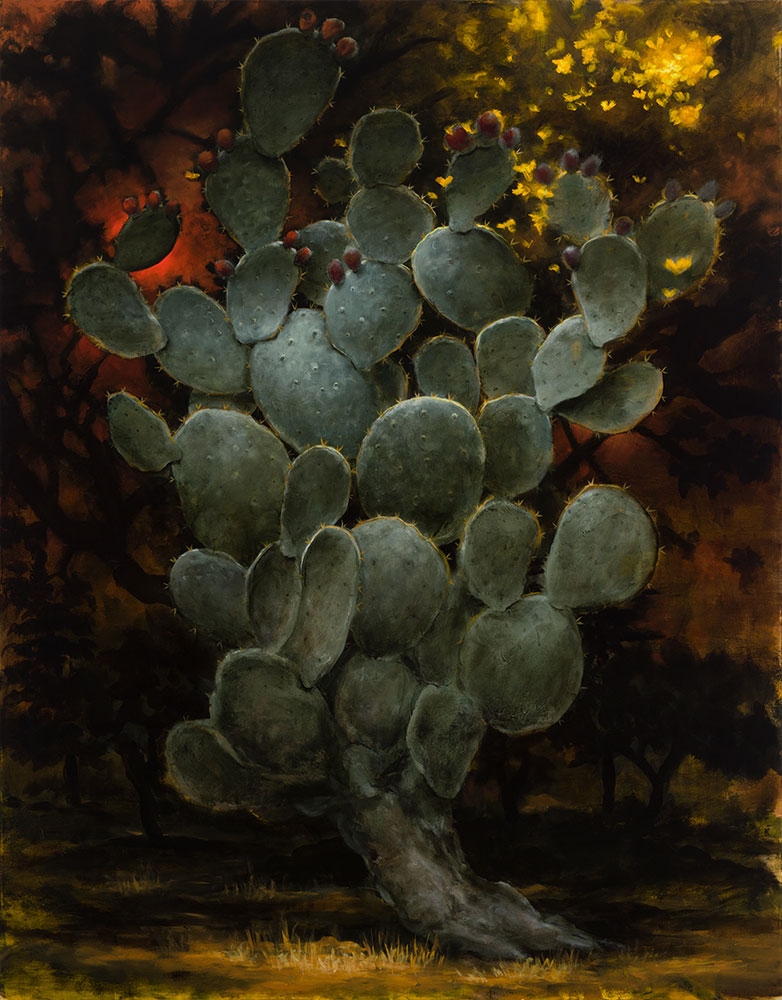 Kevin Sloan, St. Opuntia of the Bees, gallery