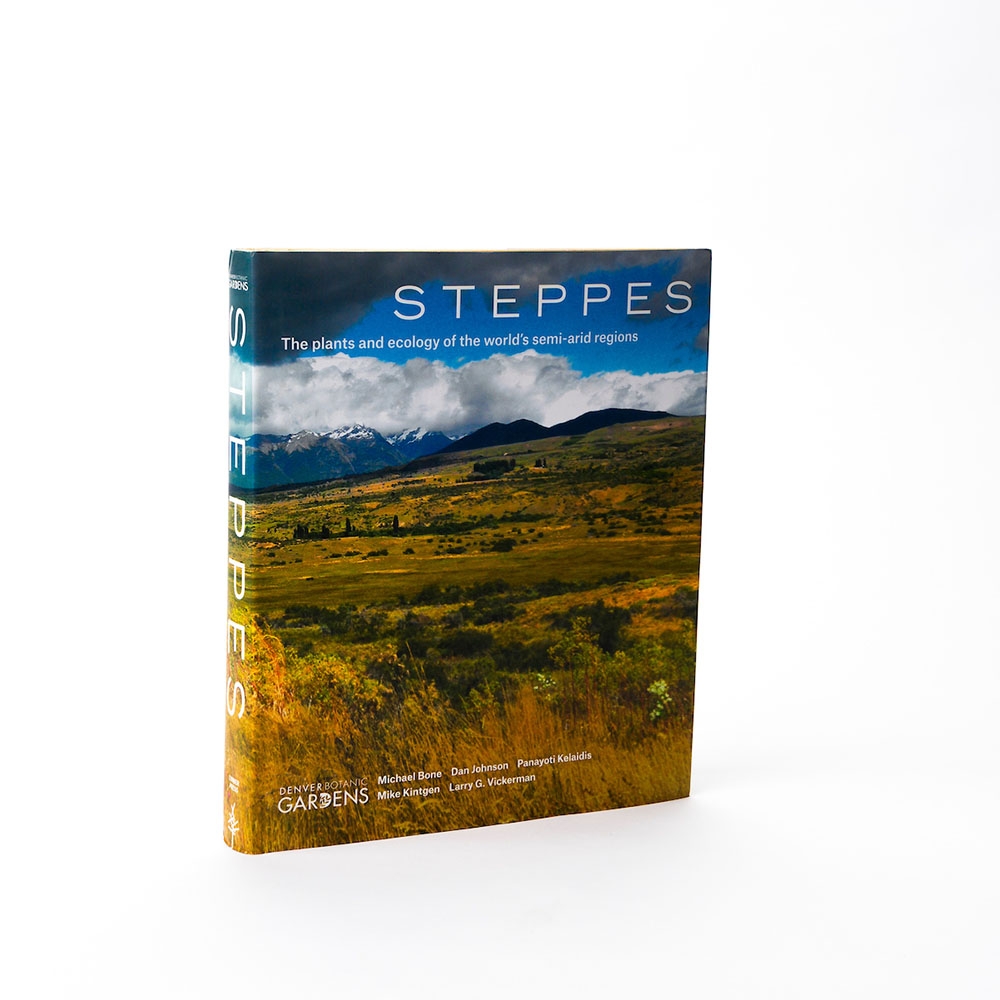 Steppes