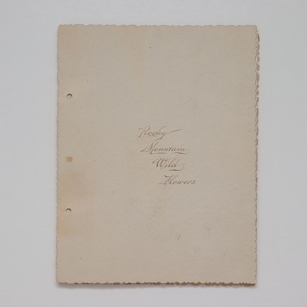 Rocky Mountain Wild Flowers cover