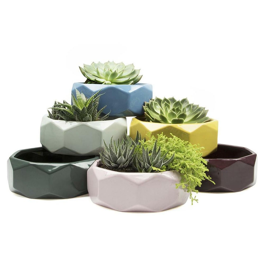 geometric pots