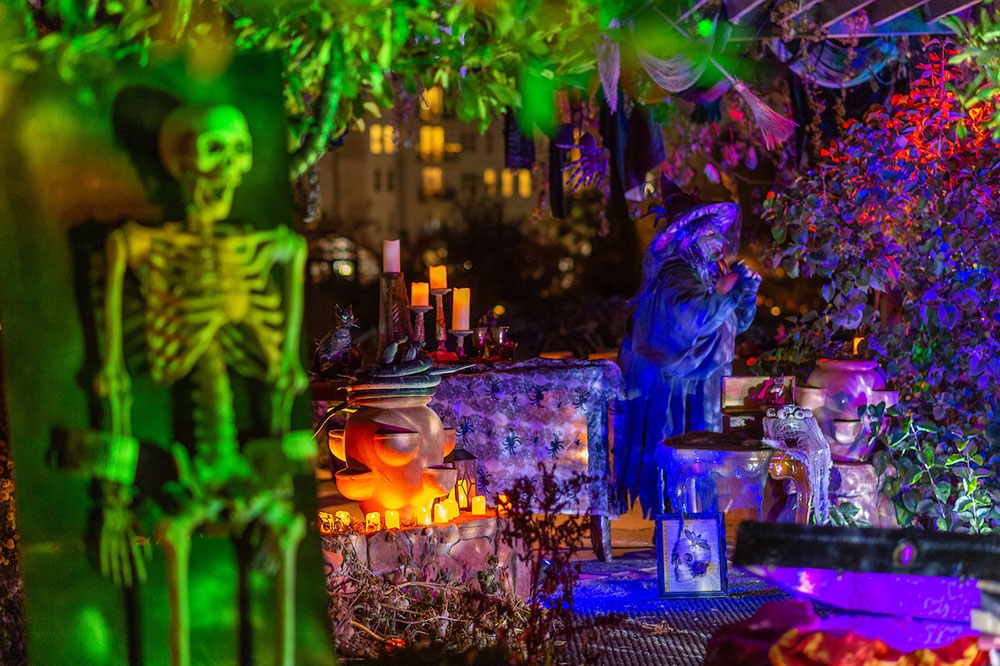 Glow at the Gardens Image