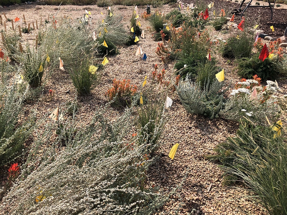 Trial garden experiment