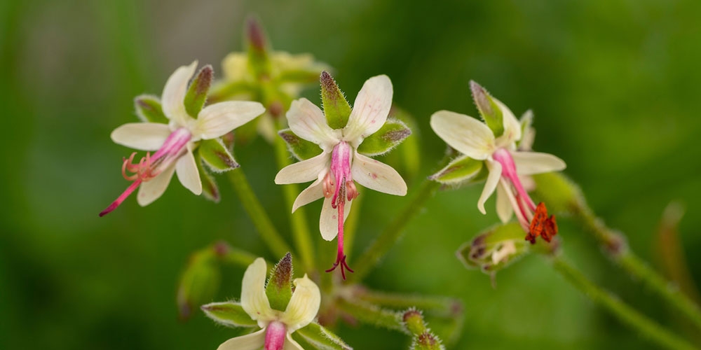 Summer display gallery2