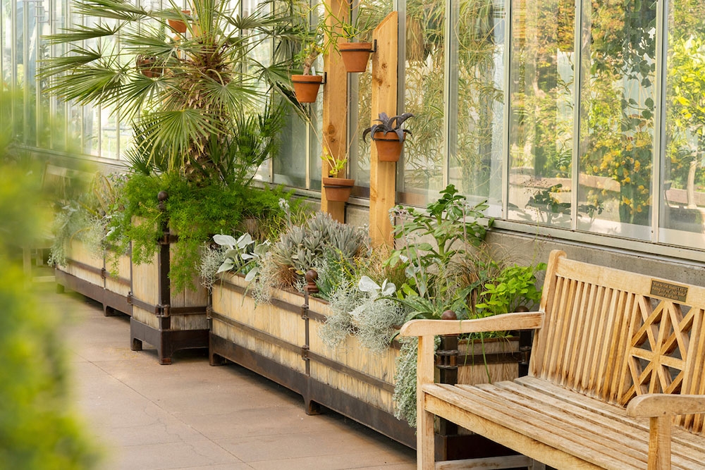 Summer display gallery5