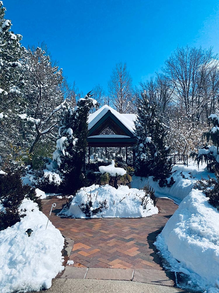 Victorian Secret Garden 