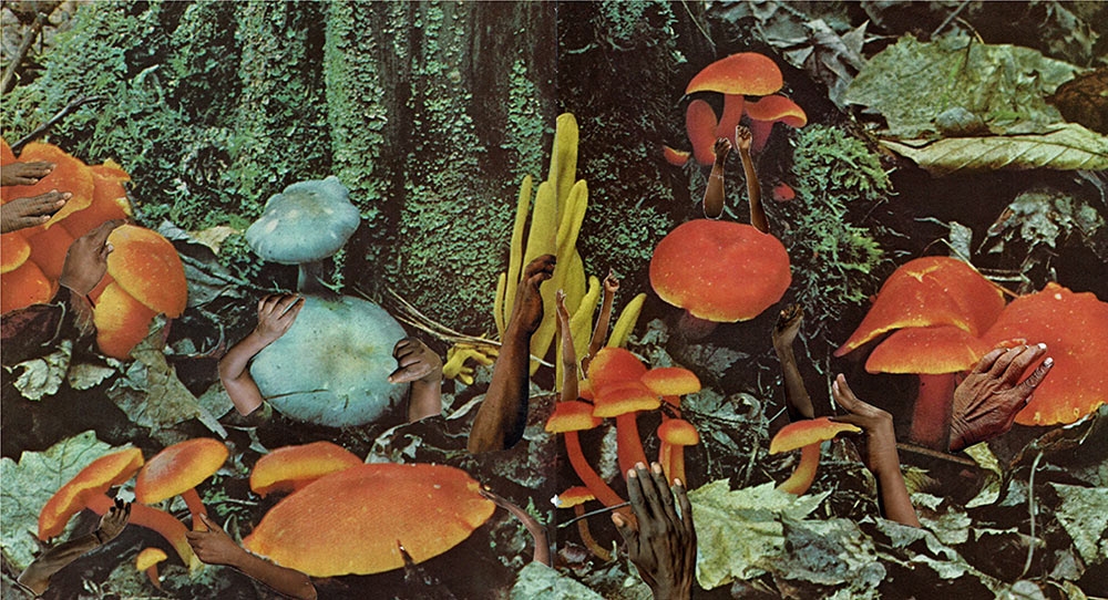 Kyle Cornish, "We Are Spores," paper collage, 2020.