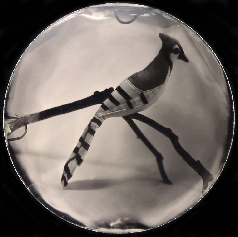 Eloisa Guanlao, "Cella Ambrotos," glass ambrotype and wood, 2016.