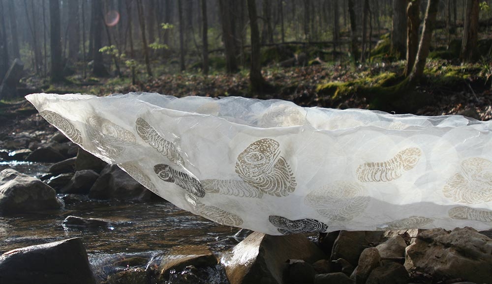 Eloisa Guanlao, "Darwin’s Finches," glass ambrotype installation, 2016.