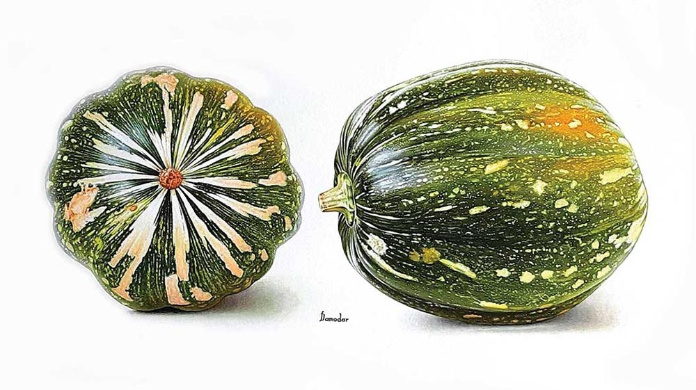 Damodar Gurjar, “Pumpkin,” tempera on paper, 2020.