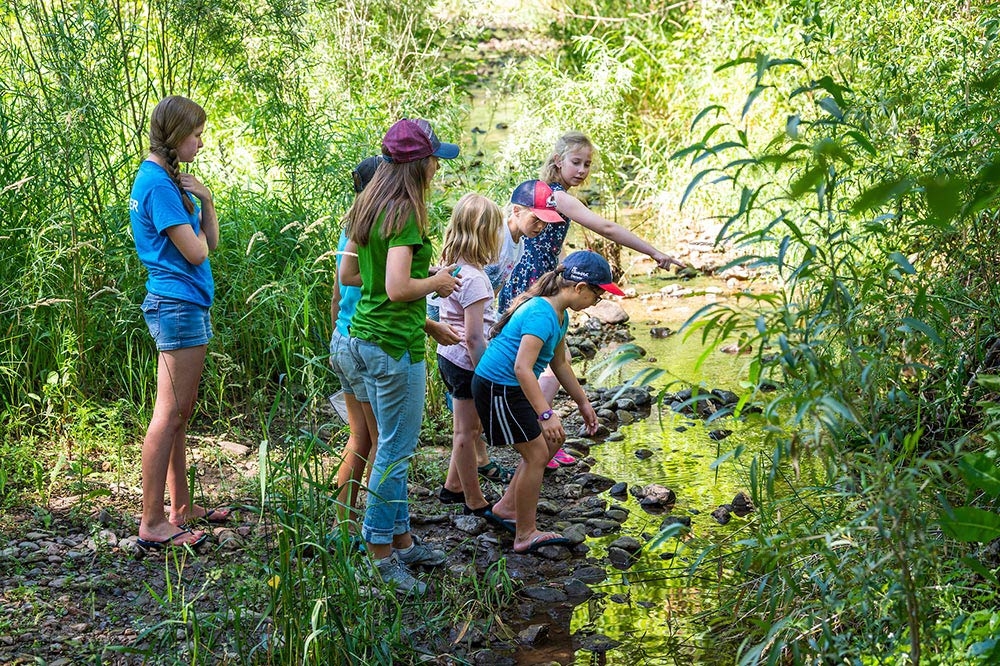 Chatfield Farms camp