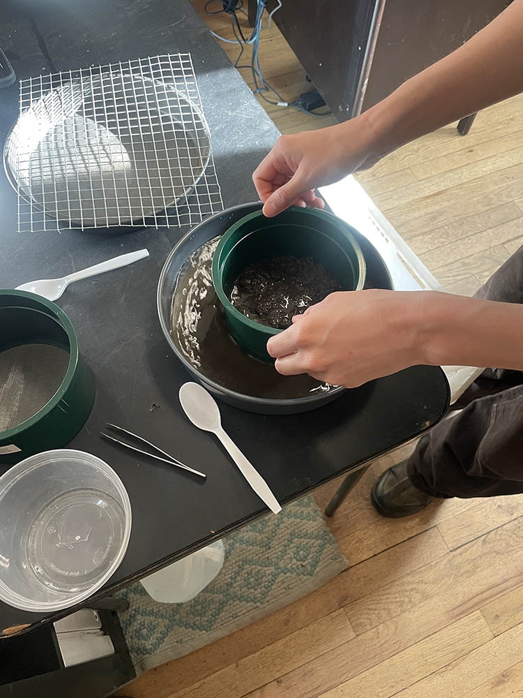 Soil Aggregate Stability Test