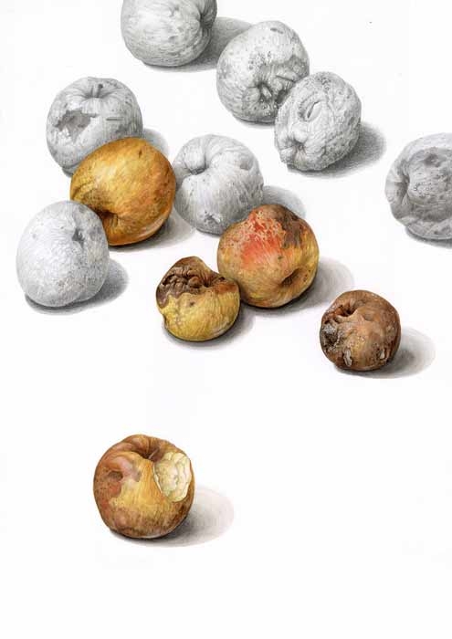 Irina Neacsu, “She Made Her Choice”, watercolor and graphite, 2021.