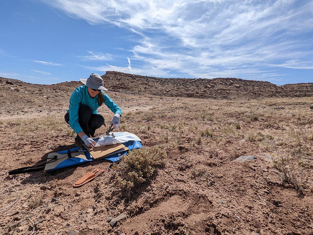 Canyons of the ancients collecting