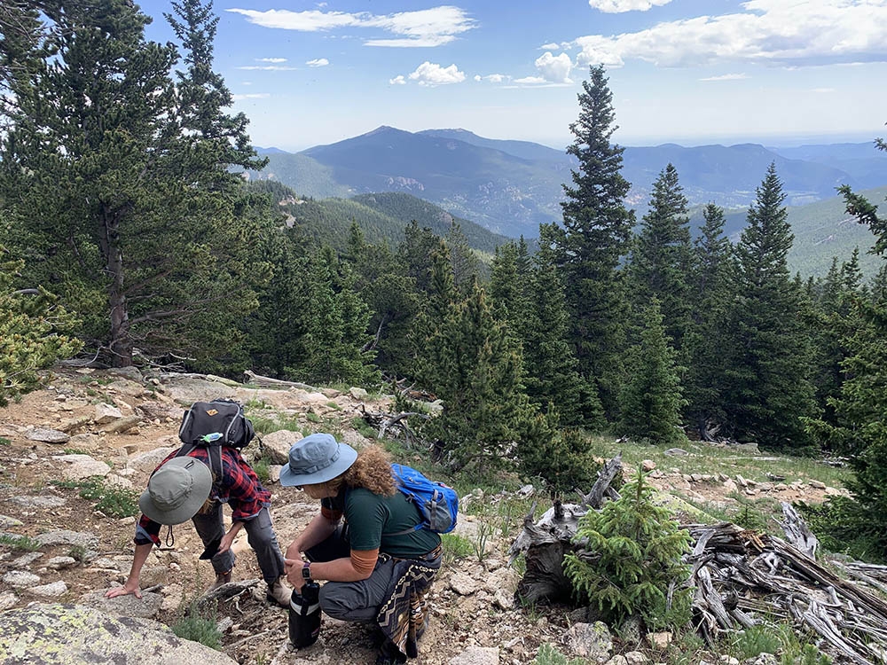 Two people studying plants.