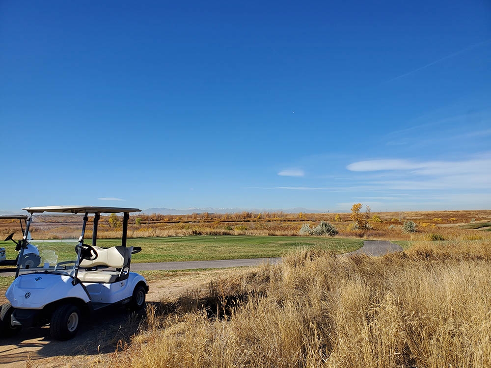 Native grasses at golf course