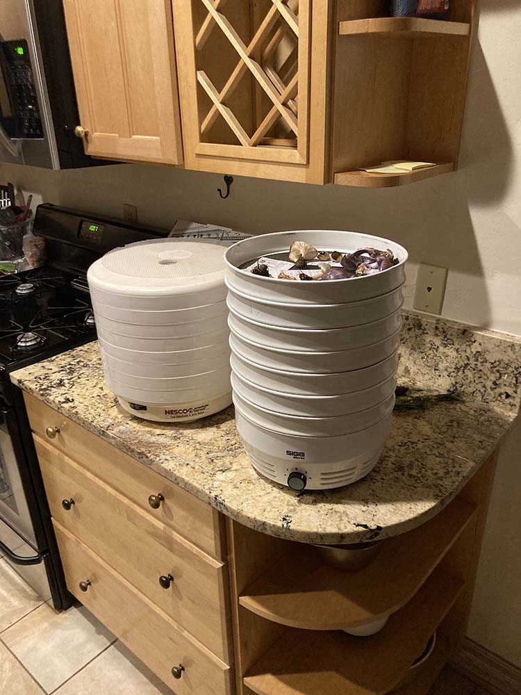 mushroom dryers