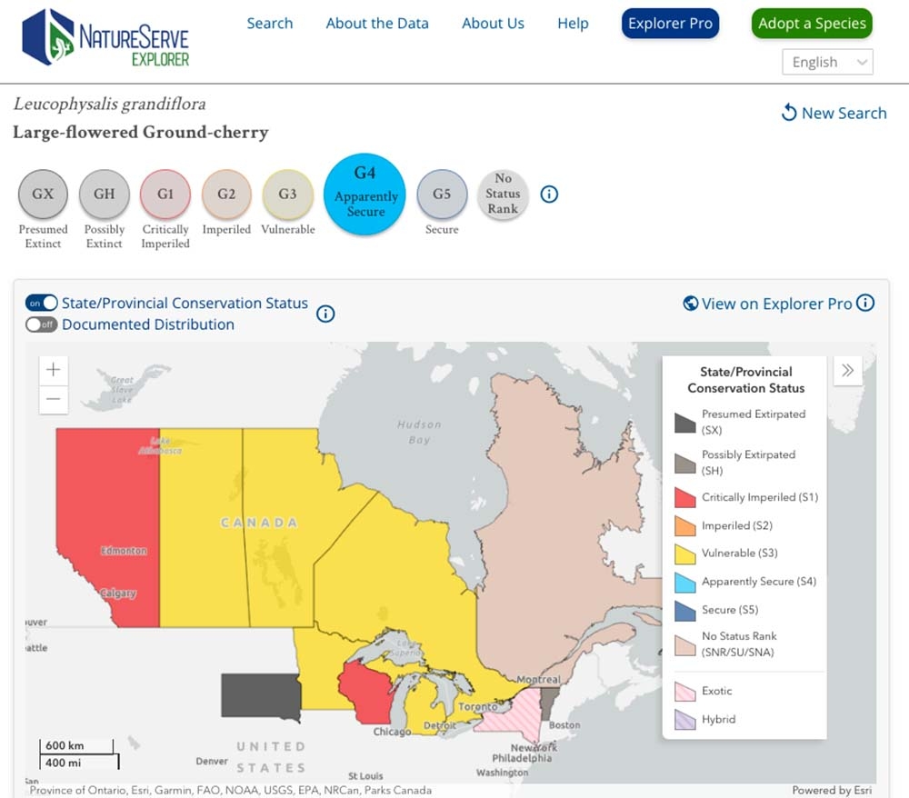 NatureServe Explorer map