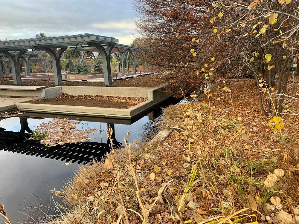 The messy refuge of the Central Asian shrub steppe (foreground) contrasts with the cleaned beds of the Annuals Garden