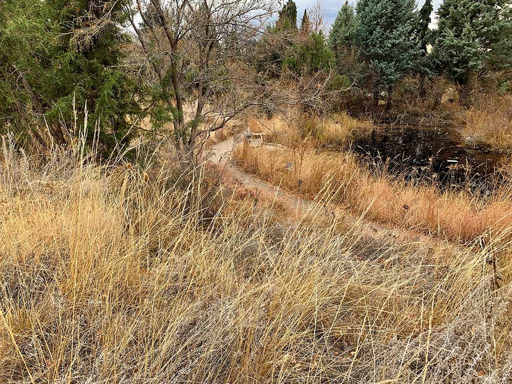 The dense and ever-present growth in the Laura Smith Porter Plains Garden