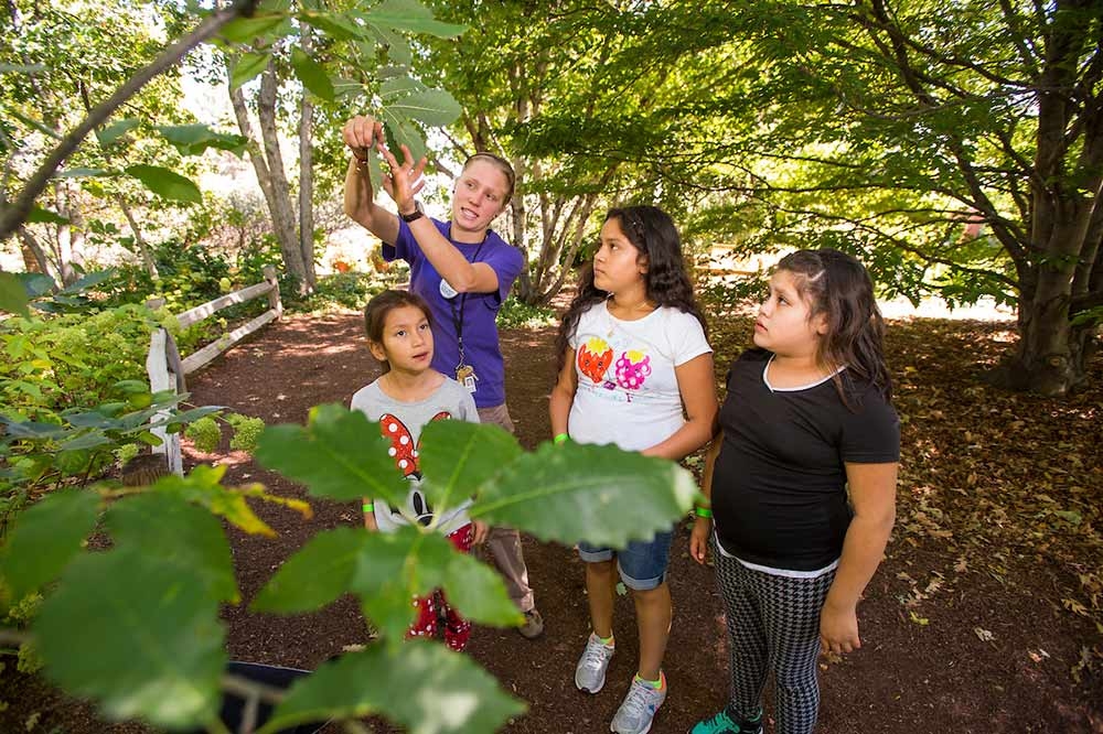 Adult and children outside studying a leaf