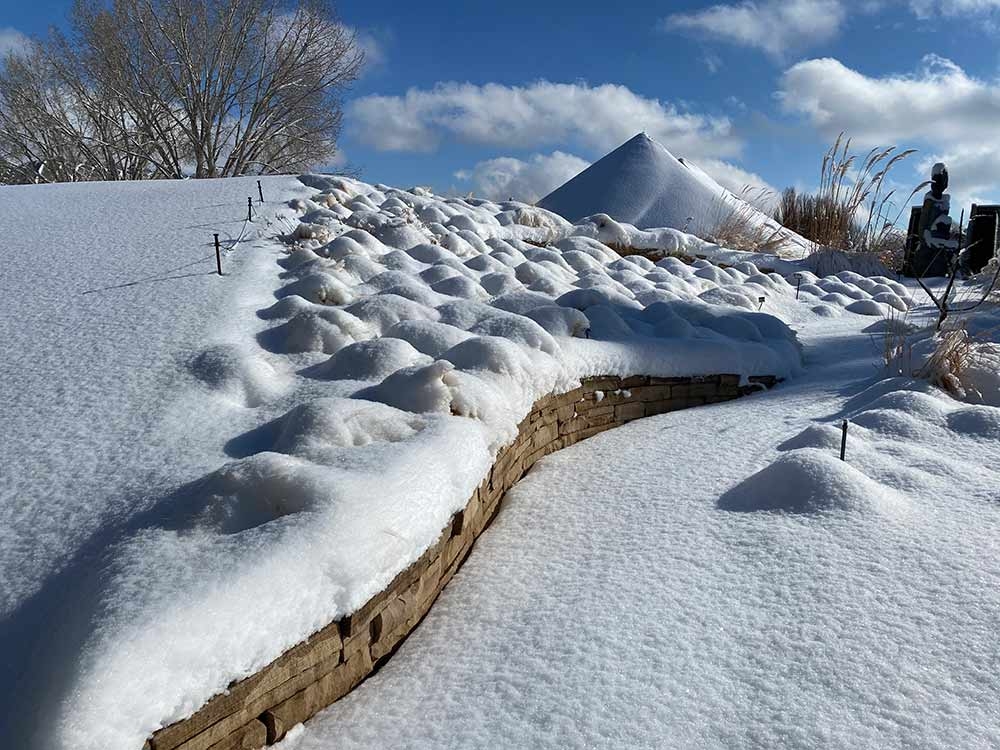 Snow drifts make tufts of Mexican feathergrass (Nassella tenuissima) in the Ornamental Grasses Garden look like groomed bumps on a ski slope, one of the many soothing patterns you’ll see in winter.