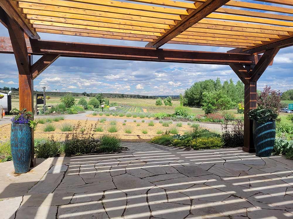 Lavender Garden Pergola 