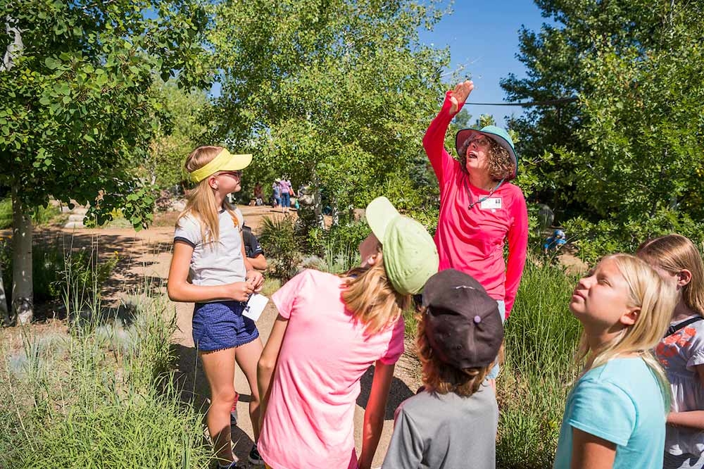 Adult and children outside looking at the sky