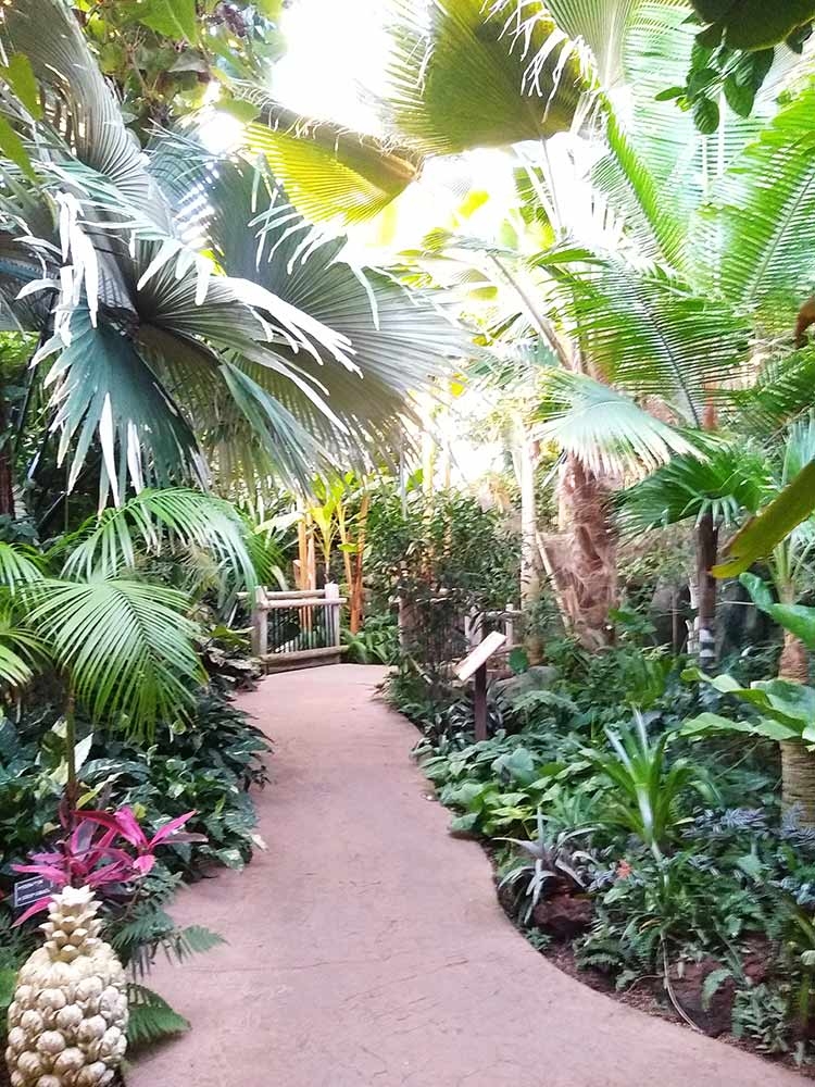 Boettcher Memorial Tropical Conservatory banner