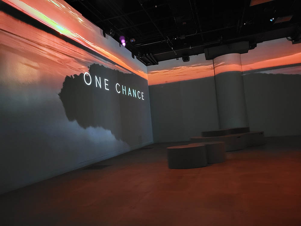 Immersive biodiversity experience