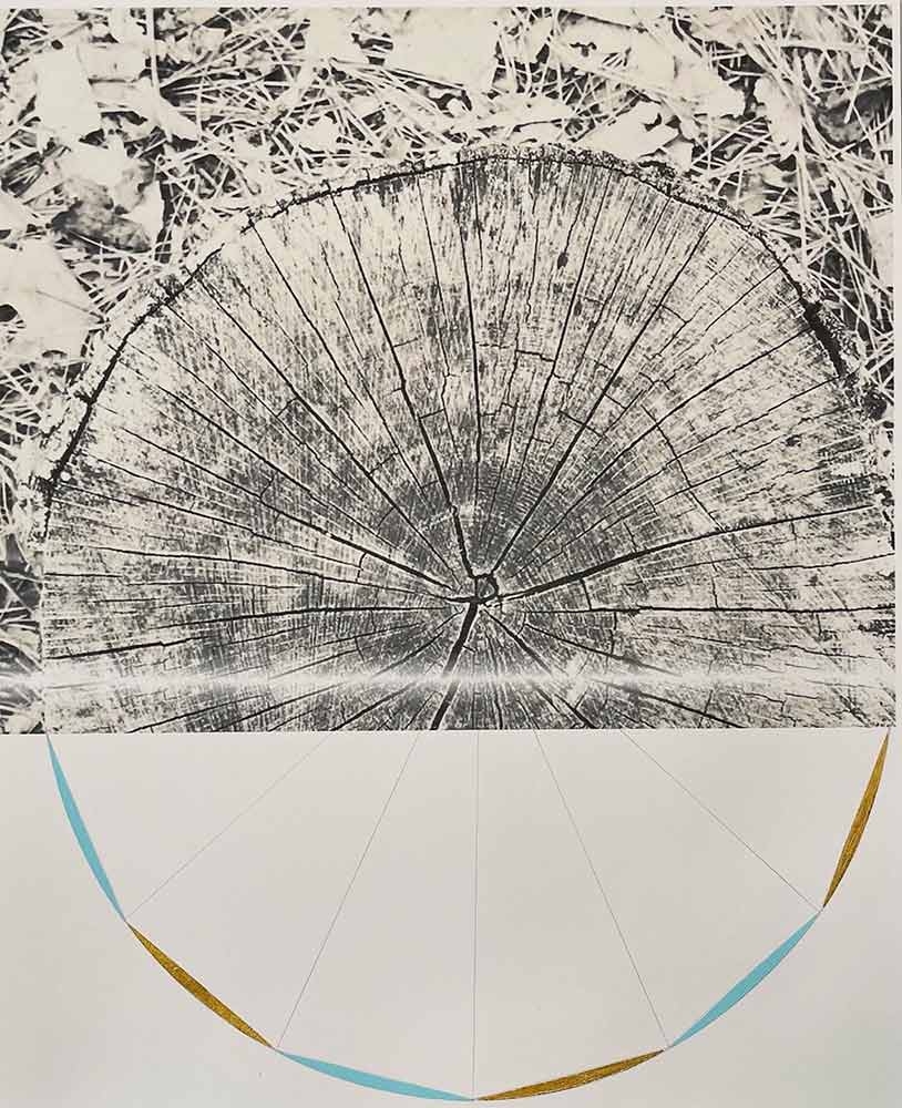 Kiki Gaffney, “Nexus Study I,” photograph, graphite, acrylic and gold leaf, 2022.