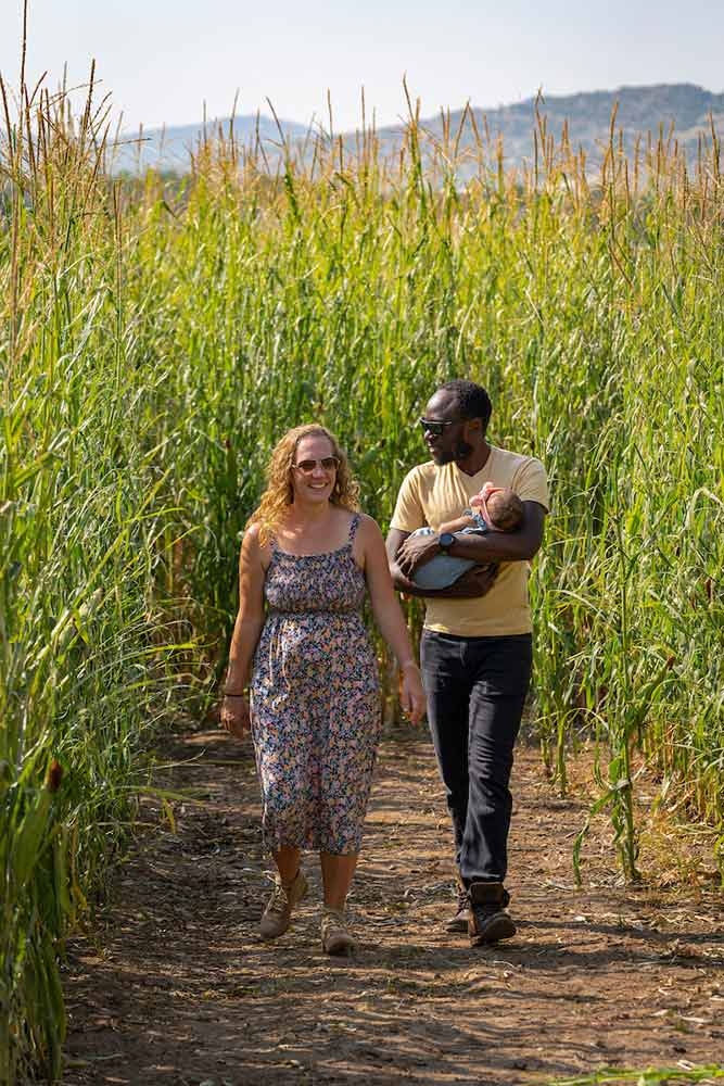 Corn Maze at Chatfield Farms in September
