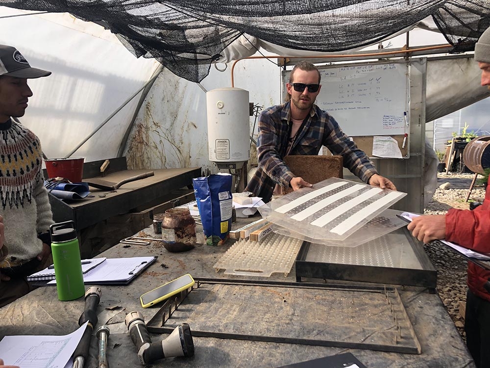 demonstrating kwik klik seed system