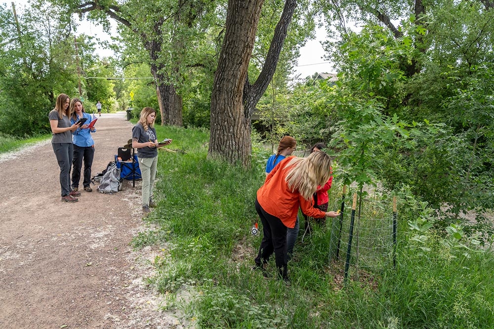 highline canal research