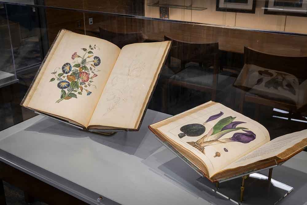 Books in the Edward P. Connors Rare Books Reading Room