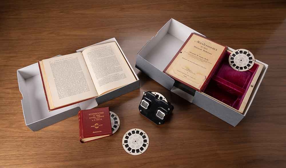 In the Edward P.  Connors Rare Books Reading Room