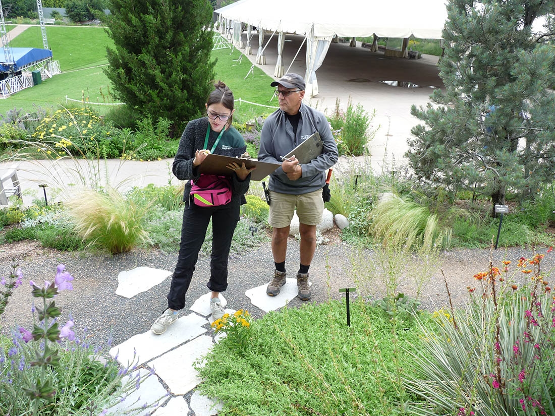 Intern and horticulturist in plant-mapping session