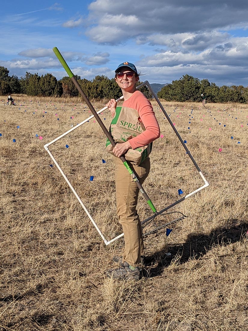 grassland restoration