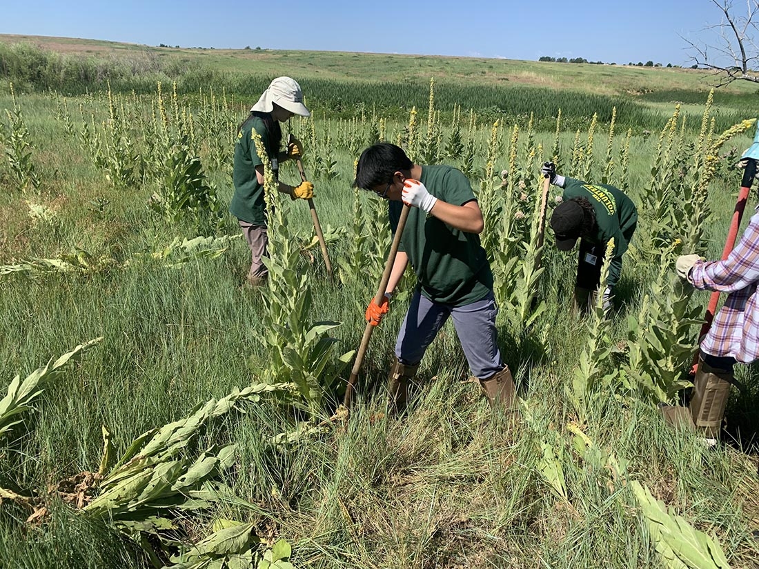 Teen volunteers at Chatfield Farms