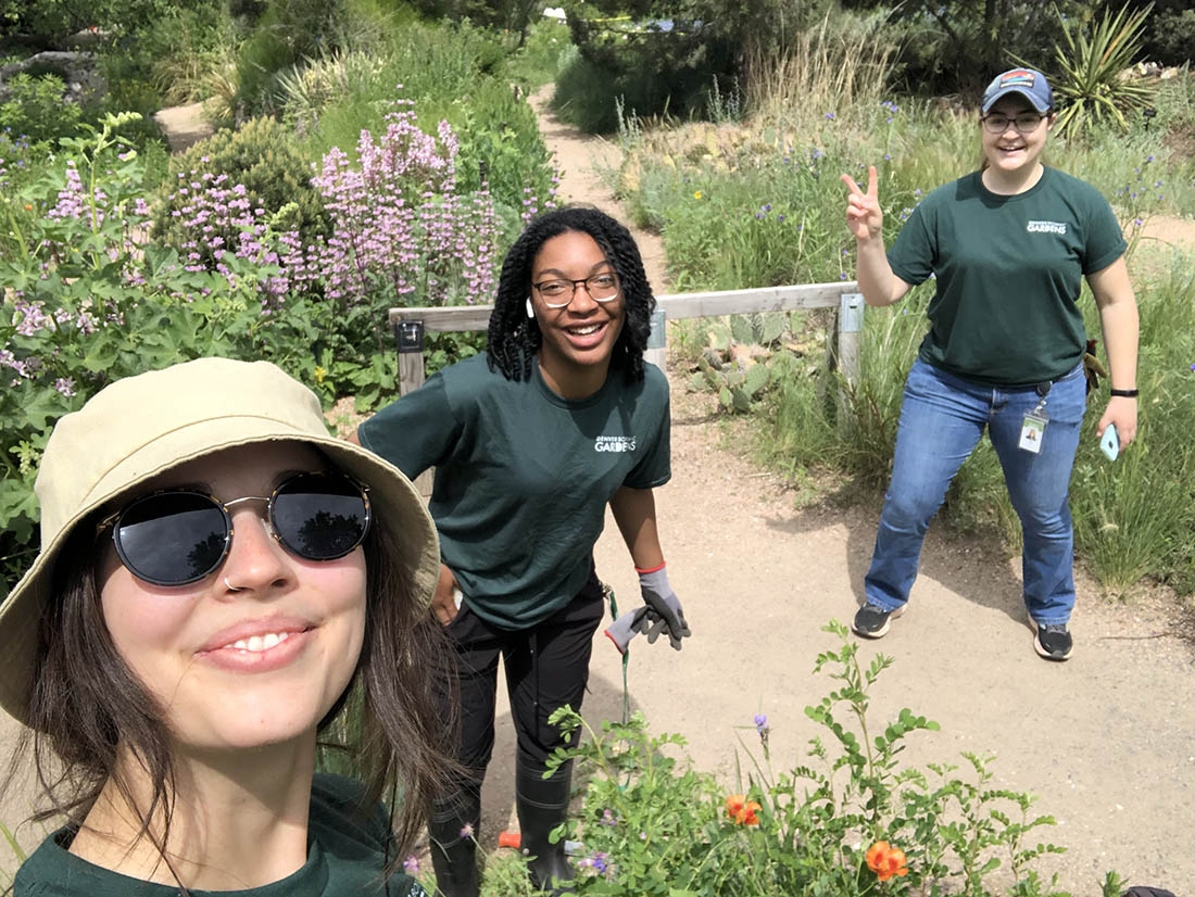  interns in the Rock Alpine Garden.