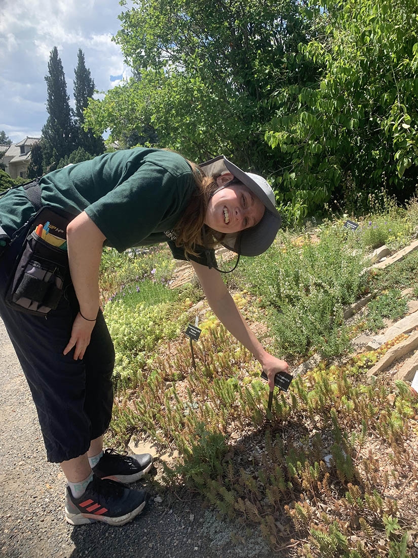 Placing plant labels in the Rock Alpine Garden